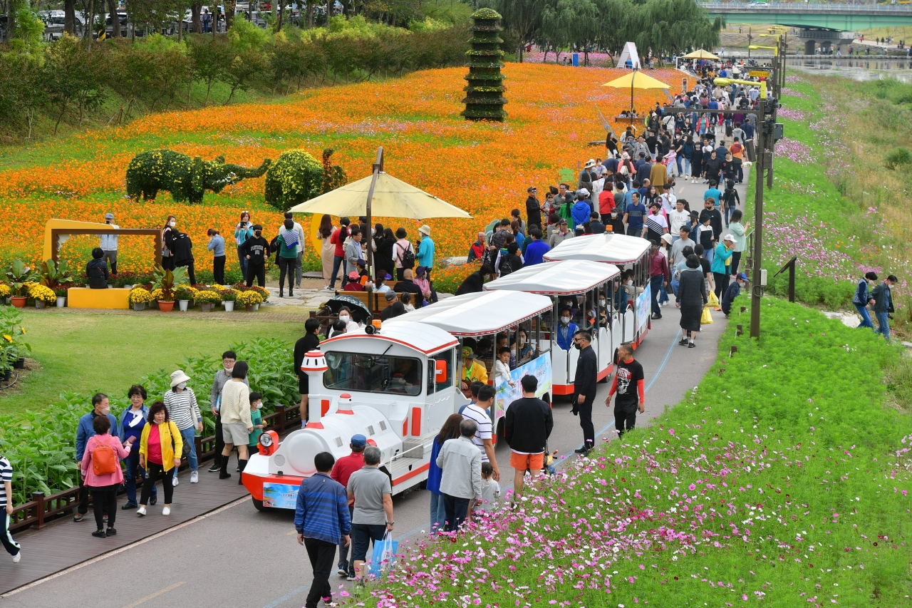 장성 황룡강 가을꽃축제가 8일 개막 이후 연휴 사흘 동안 20여만 명이 몰리는 흥행을 기록했다.